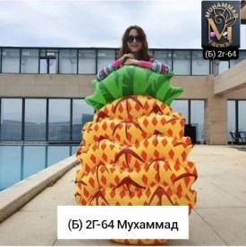 Одежда