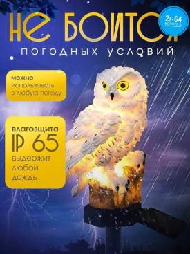 Одежда