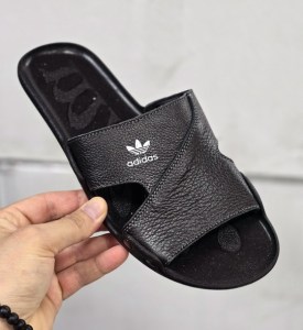 Сланцы