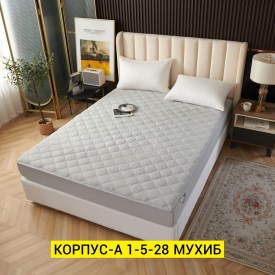 Одежда