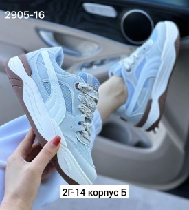 Одежда