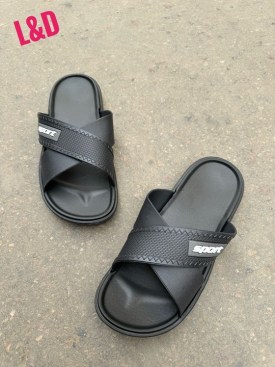 Сланцы