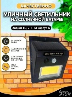Одежда