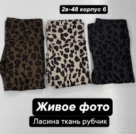 Лосины