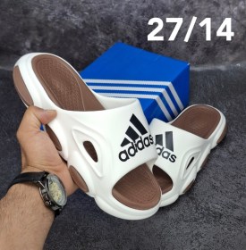 Сланцы