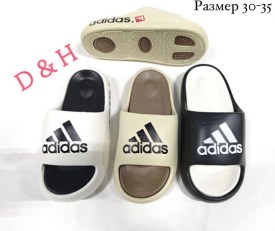 Сланцы