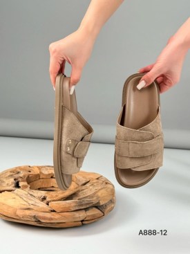 Сланцы