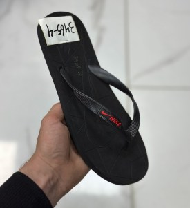 Сланцы
