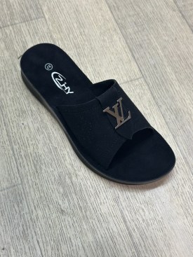 Сланцы