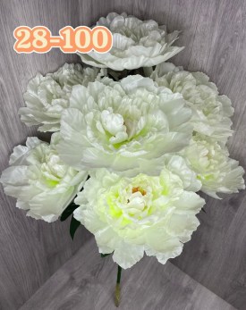 Цветы