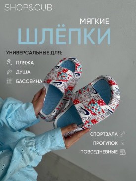 Сланцы