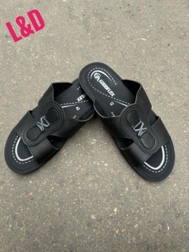 Сланцы
