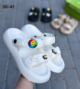 Сланцы
