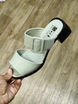 Сланцы
