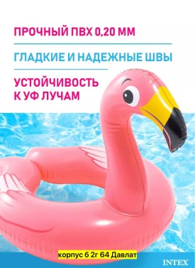 Одежда