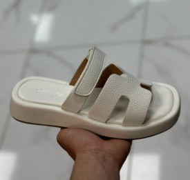 Сланцы