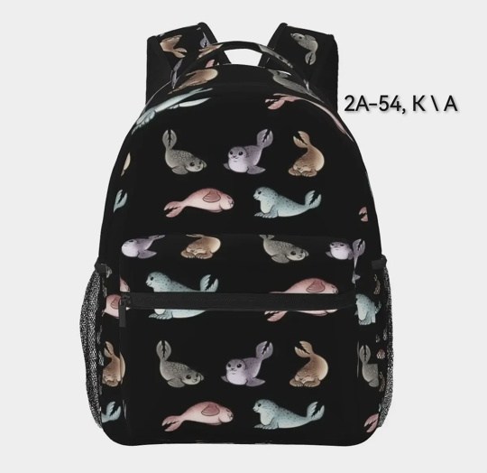 рюкзак,школьные рюкзаки,рюкзак с принтом,детские рюкзаки,рюкзаки рюкзаки