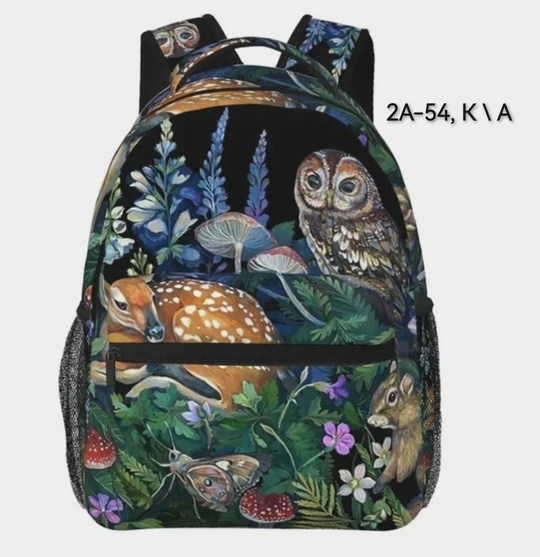 рюкзак,школьные рюкзаки,рюкзак с принтом,детские рюкзаки,рюкзаки рюкзаки