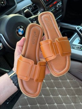 Сланцы