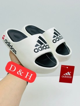 Сланцы