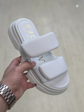 Сланцы