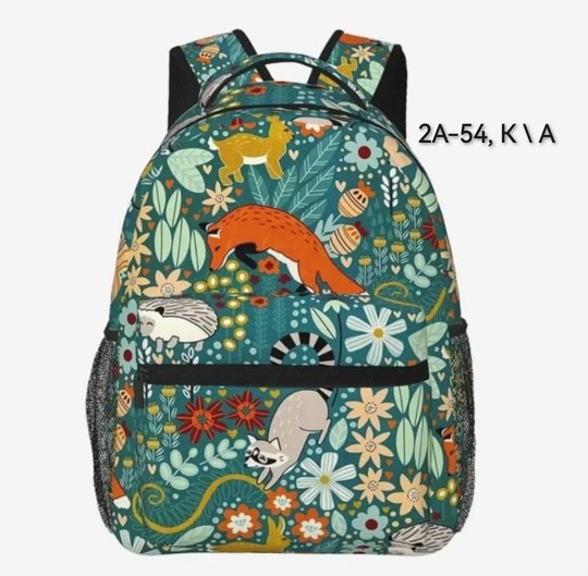 рюкзак,школьные рюкзаки,рюкзак с принтом,детские рюкзаки,рюкзаки рюкзаки