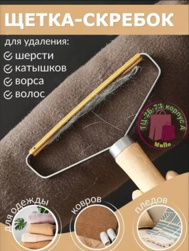Одежда