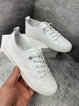 Кеды