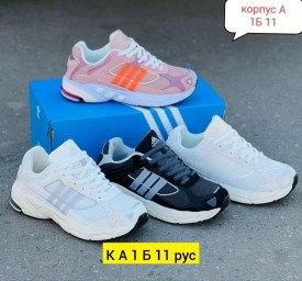 Одежда