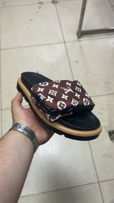 Сланцы