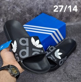 Сланцы