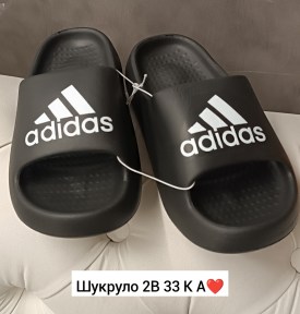 Одежда