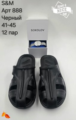 Сланцы