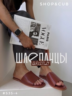 Сланцы