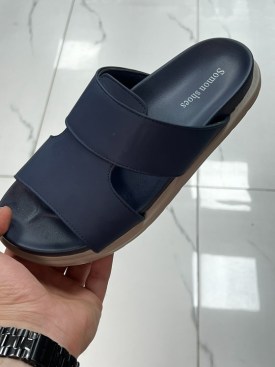 Сланцы