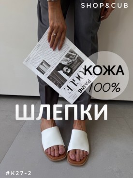 Сланцы