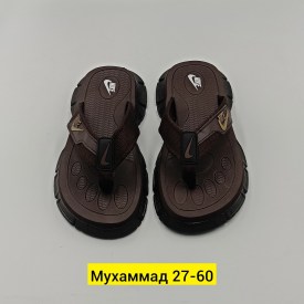 Сланцы