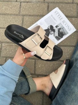 Сланцы