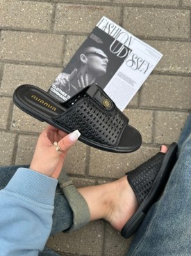 Сланцы