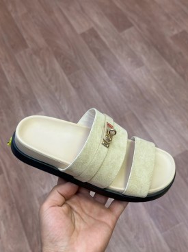 Сланцы