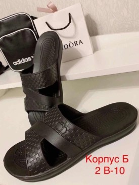 Сланцы