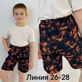 Шорты