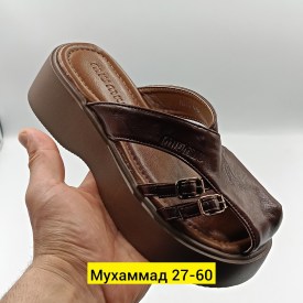 Сланцы
