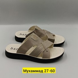 Сланцы
