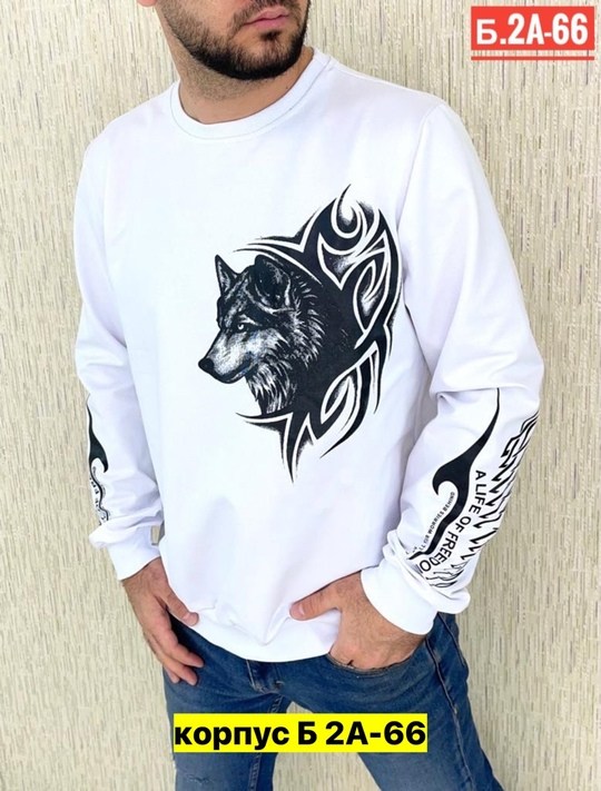 свитшот мужской белый,свитшот мужская,белая кофта мужская,кофта для мужчин,толстовки свитшот