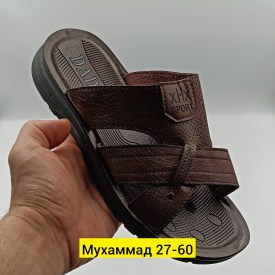 Сланцы