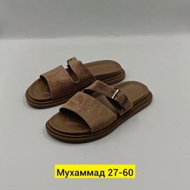 Сланцы