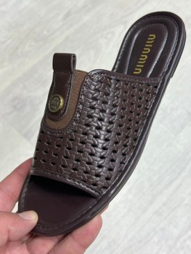 Сланцы