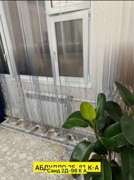 Одежда