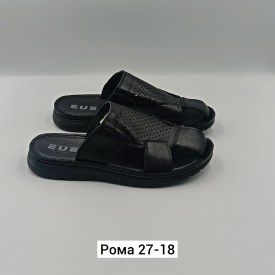 Сланцы